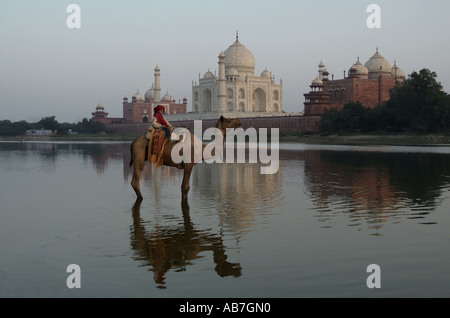 Ragazzo su un cammello di fronte al Taj Mahal in Agra India Foto Stock