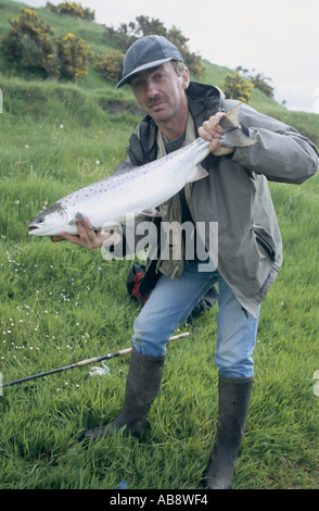 Salmone atlantico (lago pop. negli Stati Uniti/Canada: ouananiche, lago di salmone atlantico, senza sbocco sul mare salmone, la Sebago) Salmone (Salmo salar), p Foto Stock