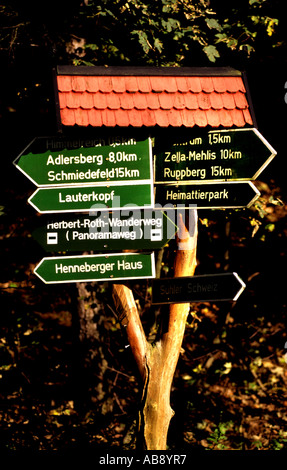 Der Rennsteig Germania Turingia Wald alberi da legno tedesco Foto Stock