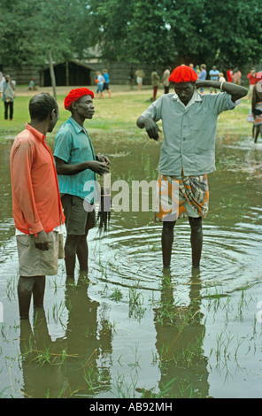 Kuomboka vogatori Foto Stock