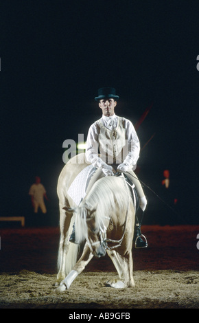 Cavallo lusitano (Equus przewalskii f. caballus), complimenti, Cavallo Royal Gala Show. Foto Stock