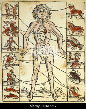 Medicina, trattamento, salasso, venezione e zodiaco, taglio di legno colorato, « artyrologicum der Heiligen », Strassburg, 1484, collezione privata, Foto Stock