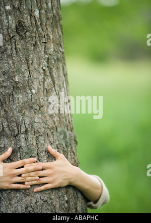 Donna di braccia intorno tree Foto Stock