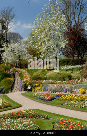 Fiori di Primavera nel giardino di Dingle Shrewsbury Shropshire England Regno Unito Foto Stock