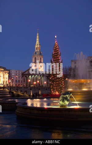 Londra, Trafalgar Square, albero di Natale Foto Stock