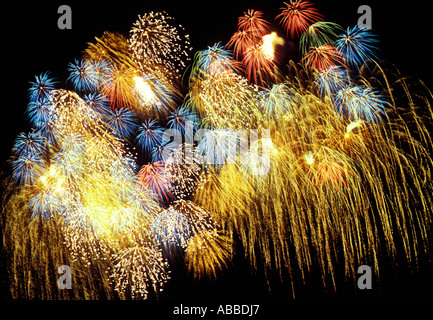 Fuochi d'artificio che esplodono nel cielo di notte Foto Stock