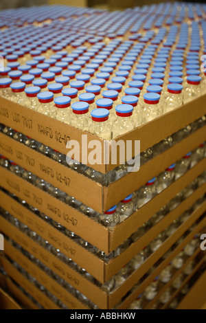 La produzione di massa di fiale in una fabbrica di linea di assemblaggio Foto Stock