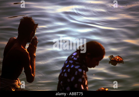 Indian matura la balneazione facendo namaskar preghiera al sole nel fiume Gange Foto Stock