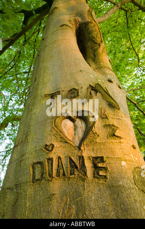 I nomi Tom e Diane e un cuore intagliato in un bosco di faggi sulle rive del lago di Windermere, Cumbria, Regno Unito Foto Stock