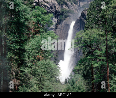 Parco Nazionale di Yosemite in California che mostra una cascata a cascata verso il basso attraverso una vista boschiva Foto Stock