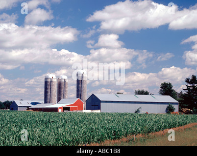 Wisconsin dairy farm con colture granaio rosso silos annessi e dintorni rurali Foto Stock