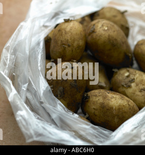 Patate di primizia in un sacchetto di plastica Foto Stock