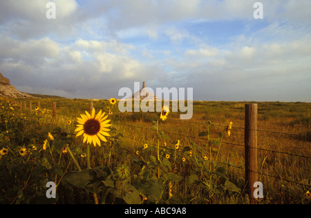 Il Nebraska Chimney Rock pietra miliare lungo la Oregon Trail Foto Stock