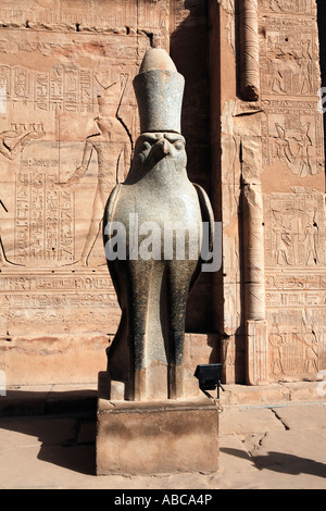 Statua del dio Horus nel suo tempio in Edfou nell Alto Egitto Foto Stock