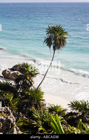 Vista della spiaggia di maya sito archeologico di Tulum Foto Stock