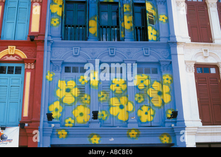 Windows di una bottega in Temple Street a Singapore Foto Stock