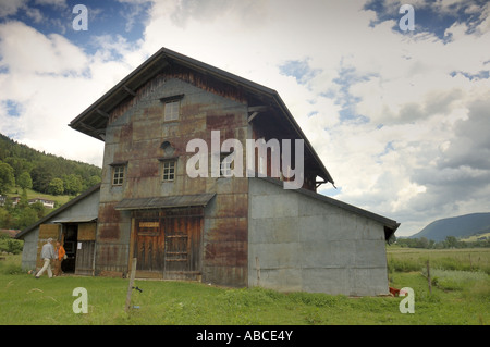 Assenzio fienile di essiccazione Foto Stock