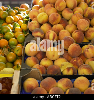Le pesche e le arance in stallo del mercato Foto Stock