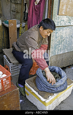 Cina Shanghai con protezioni per proteggere i suoi manicotti fornitore cerca di evitare di vivere i granchi da strisciando fuori il sacco Foto Stock