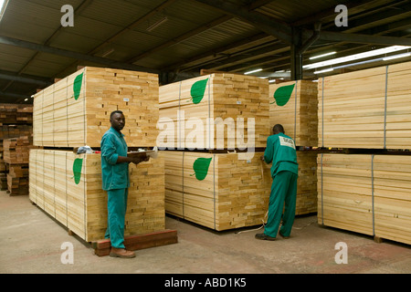 Elaborati Mogano Africano in segheria, Repubblica del Congo Foto Stock