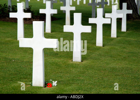 La Normandia cimitero americano a Omaha Beach nel nord della Francia Fiori Foto Stock