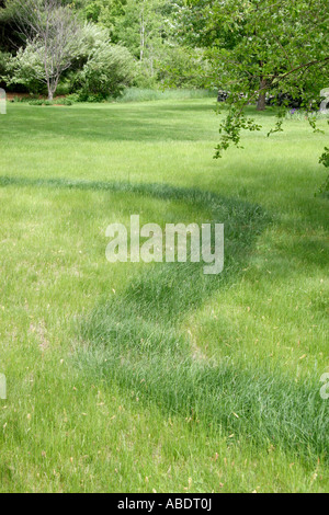 Fertilizzante di azoto stripe. Foto Stock