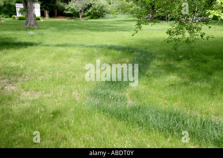 Fertilizzante di azoto stripe. Foto Stock