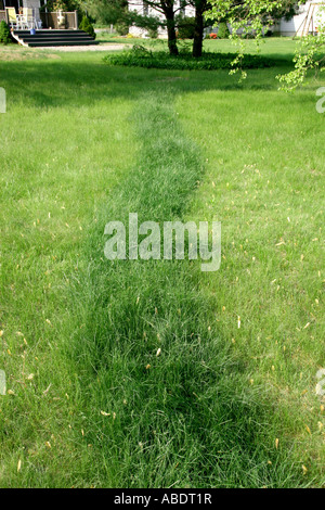 Fertilizzante di azoto stripe. Foto Stock