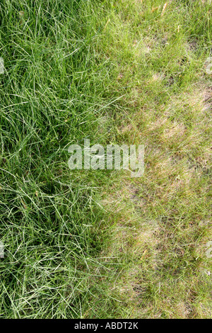 Fertilizzante di azoto stripe. Foto Stock