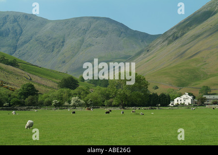 Paesaggio vicino Scafell Pike, cumbria, Inghilterra Foto Stock