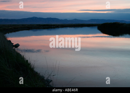 Bear fiume uccello migratore rifugio in Utah Foto Stock