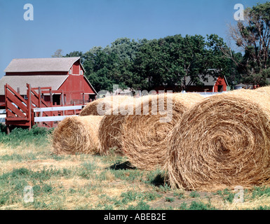 Rotoli di raccolte golden fieno secco nel campo di un Iowa farm Foto Stock