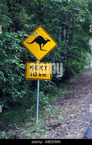Kangaroo road sign in Australia Foto Stock
