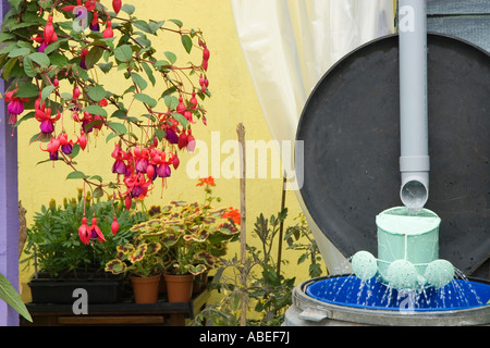 Dettaglio dal piccolo giardino che mostra modo decorativo per risparmiare acqua Foto Stock