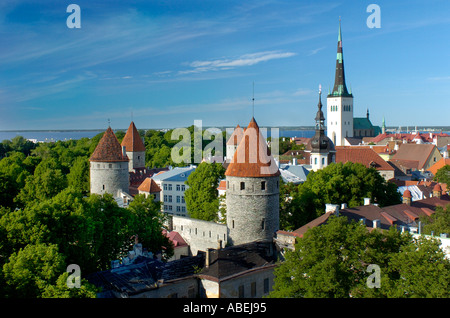 Tallinn Vecchia città panoramica in primavera Foto Stock