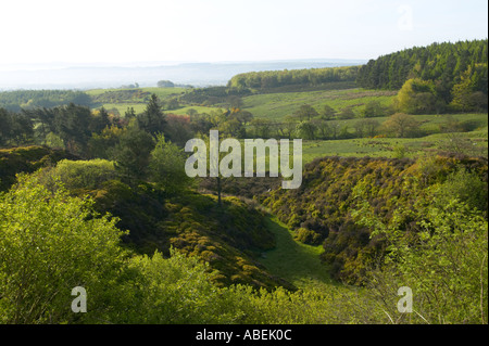 Quarry recuperato dalla natura nella foresta di Bowland Lancashire Inghilterra Foto Stock