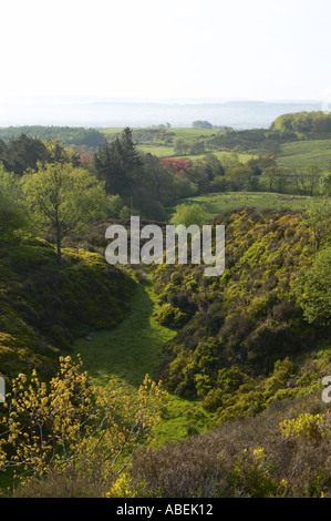 Quarry recuperato dalla natura nella foresta di Bowland Lancashire Inghilterra Foto Stock