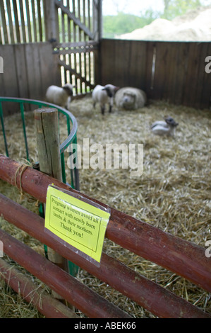 Segno consigliano alle donne incinte per evitare di ovini Foto Stock