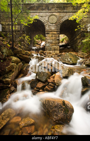 Deer Brook scorre sotto Deer Brook Bridge parte del trasporto su strada nel sistema Maine s Parco Nazionale di Acadia Foto Stock