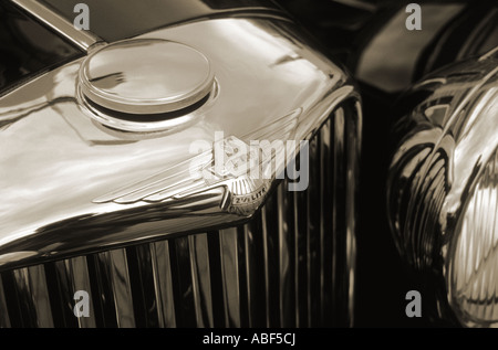 SS Jaguar 2 e un mezzo litro di 3 volumi di 1937. Inglese del costruttore di automobili Foto Stock