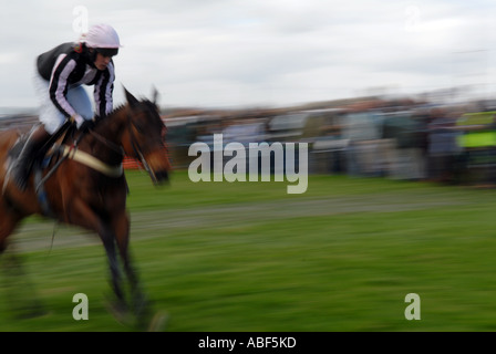 Cavallo e fantino gara a livello nazionale caccia da punto a punto, UK. Foto Stock