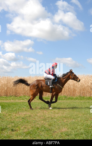 Suoneria nazionale racing a Taunton Vale da punto a punto. Foto Stock