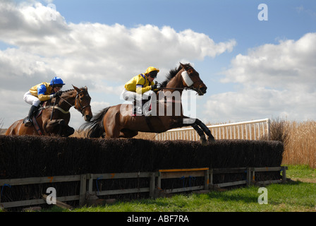 Suoneria nazionale racing a Taunton Vale da punto a punto. Foto Stock