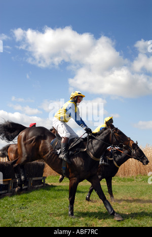 Suoneria nazionale racing a Taunton Vale da punto a punto. Foto Stock