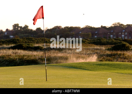 Golf Shot prese e lo sbarco in un bunker Foto Stock