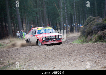 'Red Ford Escort rally car spray ghiaia fango e pietre come si gira un angolo in una foresta di pini' Foto Stock