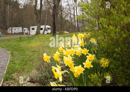 Regno Unito Scozia Highlands Killin Clachan Caravan Club sito in primavera Foto Stock