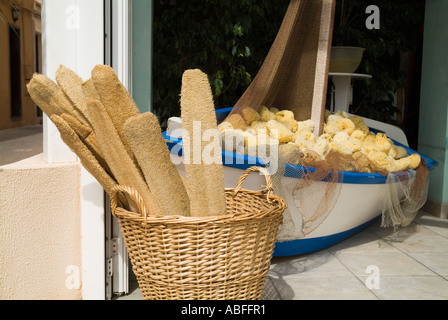 dh spugna naturale luffas SPUGNE FUERTEVENTURA Visualizza in vendita Corralejo negozio che vende luffa aegyptiaca Foto Stock