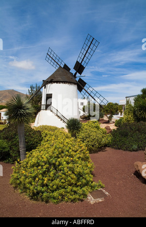 Dh Centro de Artesania Molino ANTIGUA FUERTEVENTURA Fuerteventuran tradizionale mulino a vento rurale e il giardino dei cactus museo del villaggio Foto Stock