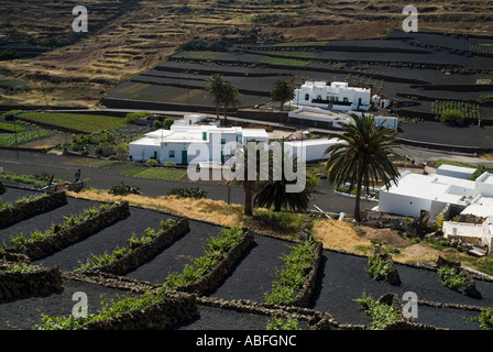 Dh Farm LOS VALLES LANZAROTE White casa murata villaggio con campi terrazzati Foto Stock